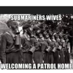 Submarine Cartoon for the Day